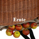 Erntehelfer-Weidekorb-Holzleiter-Birnenhaken-Tubtrug-Obstpflücker